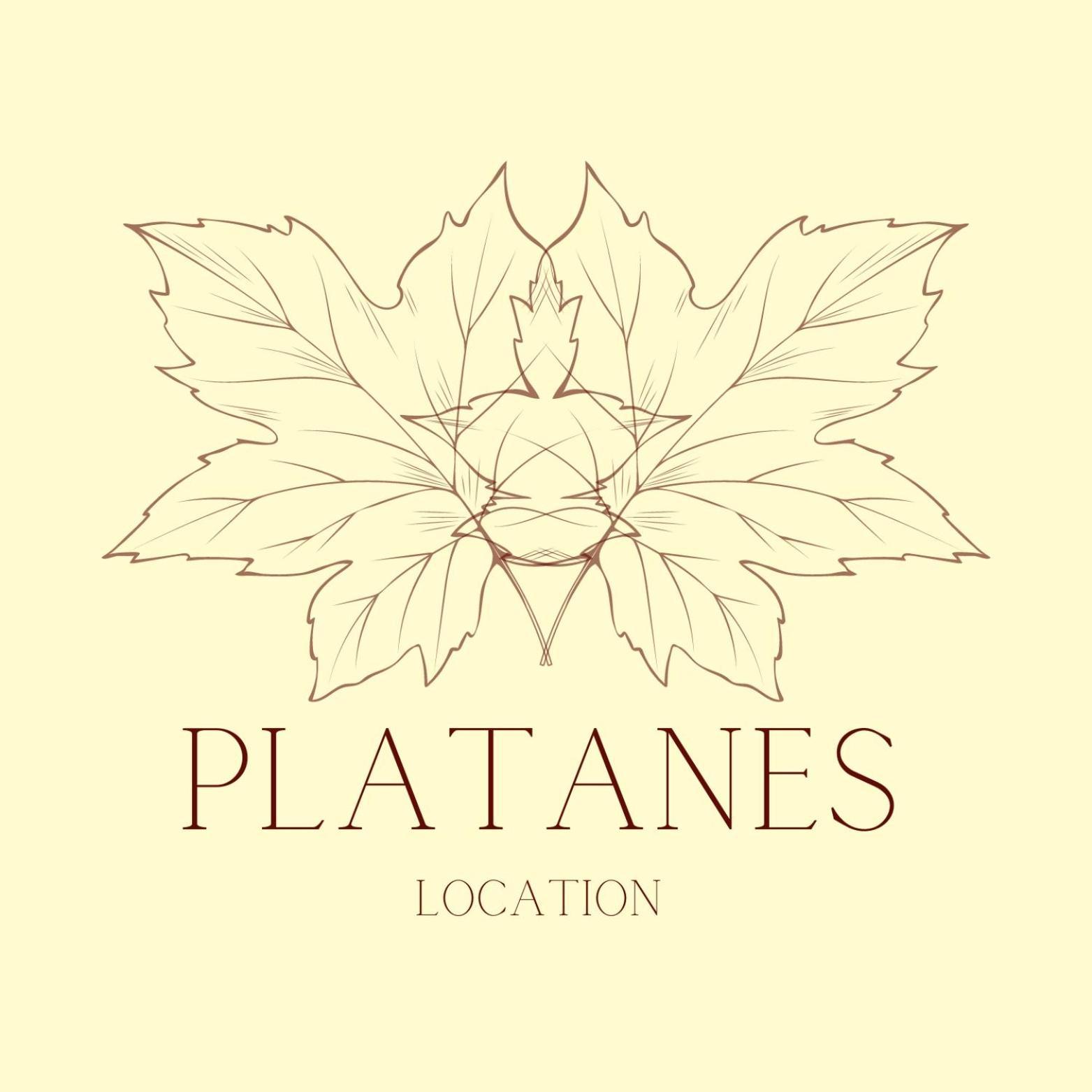 Hotel Platanes - Kb Hotel Group Etauliers المظهر الخارجي الصورة